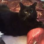 Patrice Norman - @patrice.norman526 - Instagram