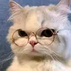 Patricia.Oneill - @marymoqoxa2 - TikTok