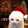 Patrick Paden - @patrick.paden - TikTok