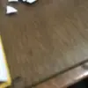 Patrice Parrish-Bell - @patrice.parrishbe - TikTok