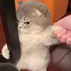 Trần Kim Xuân - @patriceparrish865 - TikTok