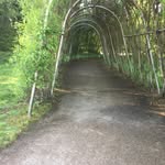 Patrice rice - @awakeinbelfast - Instagram