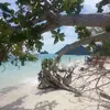 Patrice Et Vero Ruffin - @patrice.et.vero.r - TikTok