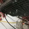 patricestuart43 - @patrice.stuart5 - TikTok