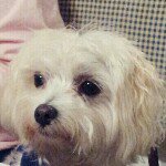 Patrice Murphy Sullivan - @yawkeyms - Instagram
