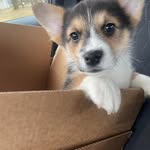 Patricia Sweeney - @patricia.sweeney.794 - Instagram