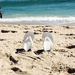 Patricia Sweeney - @patricia.sweeney.330 - Instagram