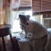 Patricia Wade - Facebook