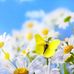 Patrice Zezza - Facebook