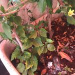 Patricia Abascal - @patricia.abascal.5 - Instagram