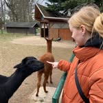 Für Freunde einfach nur Pia - @patricia.aber.mit.c - Instagram