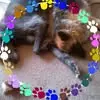 Patricia Abercrombie - @patricia.abercrom5 - TikTok