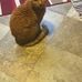 Patricia Ackley - Facebook