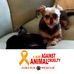 Patricia Akers - Facebook