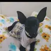 Patricia Albino - @patriciaalbino15 - TikTok
