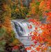 Patricia Marie Albin - Facebook