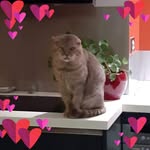 Patricia Peron - @patricia.alterego - Instagram