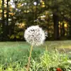 Patricia Altieri790 - @patriciaaltieri79 - TikTok