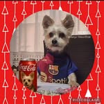 Patry Martin - @patriciamartin.altieri - Instagram