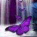 Patricia Anders - Facebook