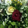 Pask - @patricia.ask - TikTok