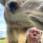 Patricia Askew - @patricia.askew1 - Instagram