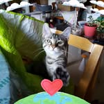 Patricia Aubert - @patricia.aubert.988 - Instagram