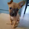 Patricia Faubert - @patricia.faubert - TikTok