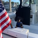 Patricia Welch Weiss - @patriciaaweiss - Instagram