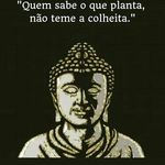 patricia bart - @patricia_barth - Instagram