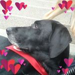 Ann-Patricia Bartels - @ann_paticia - Instagram