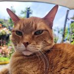 Patricia Bartels - @patries74jodi - Instagram