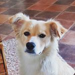 Patricia Bartels - @patricia_bartels - Instagram