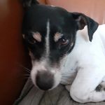 Patricia Batt - @patriciabatt175 - Instagram