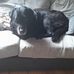 Patricia Batt - Facebook