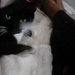 Patricia Battle - @patricia.battle.92775 - Instagram