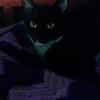 Patricia Beal - @patriciabeal1 - TikTok