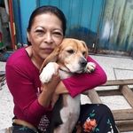 Patricia Becerril - @patricia.becerril.75 - Instagram