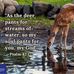 Patricia Benefield - Facebook