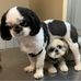 Patricia Berkowitz - Facebook