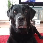 Patricia Bertucci - @bertucci982 - Instagram