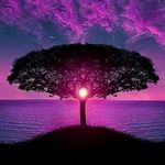 Patricia Biddle - @plbkt - Instagram