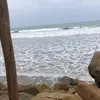 Patricia de Bloise - @patricia.de.blois - TikTok
