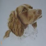 Patricia Bloss Art - @patriciabloss_art - Instagram