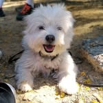 Patricia Valderrama Boada - @litelmumy - Instagram