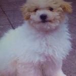 Patricia Boden - @patricia.boden - Instagram