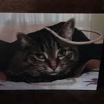 pat - @bohnertpatricia2018 - Instagram