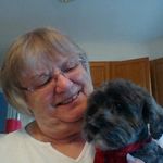 Patricia Bohrer - @patsweb - Instagram