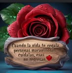 Patricia Bone - Facebook