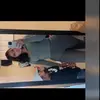 patricia_bones - @patricia_bones - TikTok